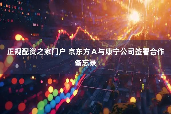 正规配资之家门户 京东方Ａ与康宁公司签署合作备忘录